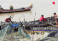 Commodity Prices from the Skies and Fishermen from the Waters